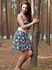 Erotic picture of Lachia overwhelming youthful beauty and carefree allure creates a stunning visual treat among the towering pine trees.
