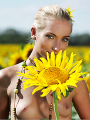 Erotic picture of Amidst a large field of sunflowers in full bloom, Adele's natural beauty is the fairest of them all as she confidently poses her gorgeous body with perfectly erect nipples under the warm sun.