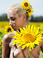 Erotic picture of Amidst a large field of sunflowers in full bloom, Adele's natural beauty is the fairest of them all as she confidently poses her gorgeous body with perfectly erect nipples under the warm sun.