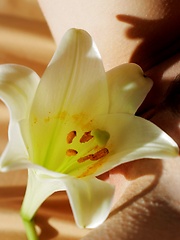 Erotic picture of Bedroom Secrets Danica