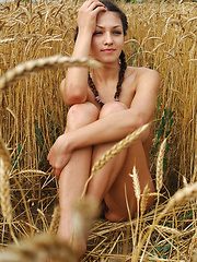 Erotic picture of Sofi A shows off her large, natural breasts in a field